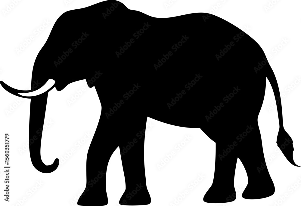 Fototapeta premium White isolated elephant vector illustration with trunk and tusk, a large mammal silhouette walking in nature