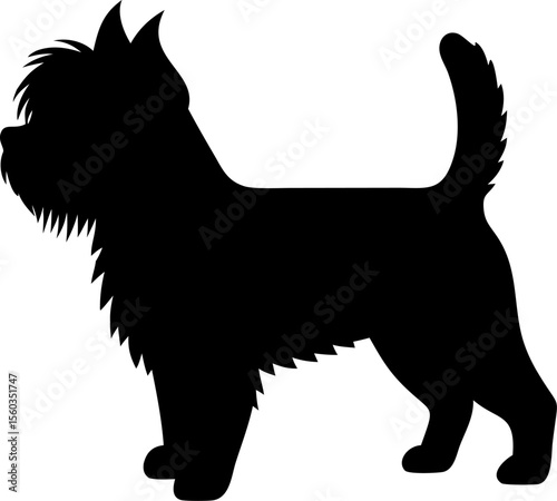 Black and white Scottish Terrier puppy and cat vector, isolated domestic pet animals