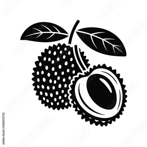 Lychee Fruit Illustration in Black and White with Leaves and Cut Section