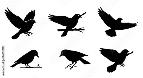 Collection of Six Bird Silhouettes Black and White Vector Illustrations of Birds in Various Poses - Perfect for Design Projects