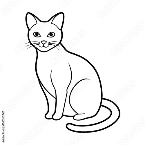 vector illustration of a cat