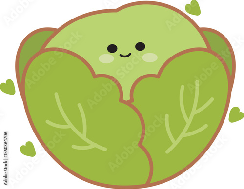 Lettuce illustration.