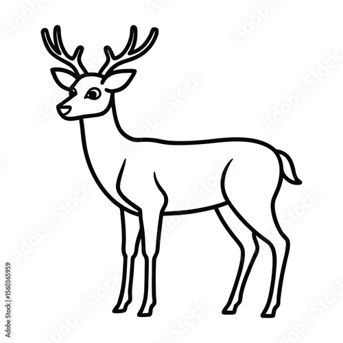 deer vector illustration