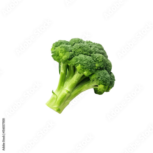 broccoli isolated on white background