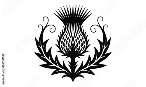 Elegant thistle flower silhouette vector design