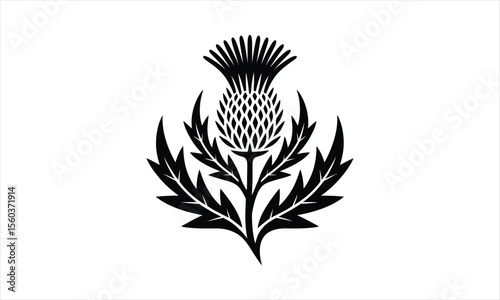 Elegant thistle flower silhouette design in a classic botanical style