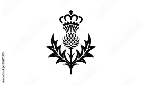 Elegant thistle flower silhouette design for artistic projects