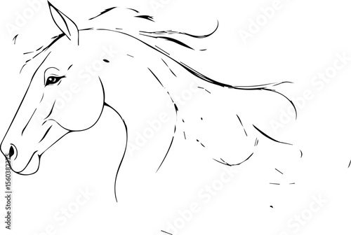 Elegant Equine Sketch: A Horse's Portrait


