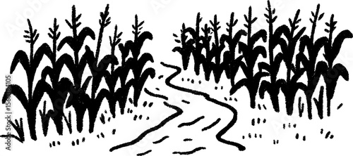 Hand drawn sketch of a cornfield with tall plants and narrow path