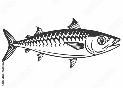 Mackerel sea fish cartoon Creative vector cartoon illustration
