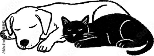 Peaceful sketch of a sleeping dog and cat duo for relaxation theme