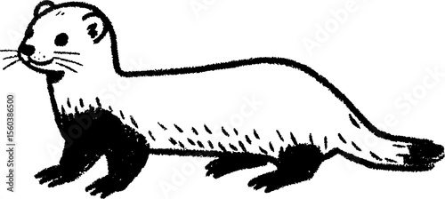 Hand drawn sketch of a standing ferret with long thin body