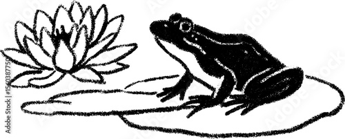 Bold sketch of frog on lily pad with black crayon texture for nature design