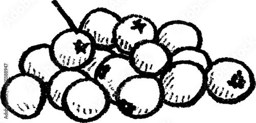 Hand drawn sketch of scattered cranberries with textured details
