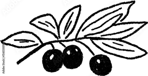 Artistic sketch of olives and leaves for nature-inspired design and decor