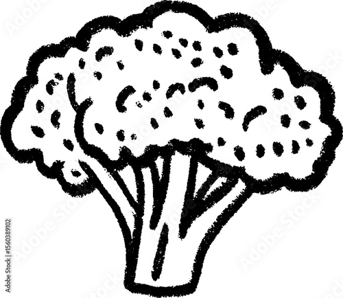 Artistic illustration of a broccoli head with thick stalk in black and white