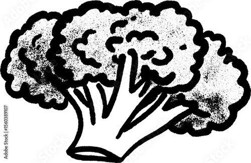 Organic broccoli sketch with textured stalks for healthy living designs