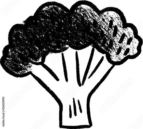 Hand drawn sketch of broccoli with thick stalk for creative design