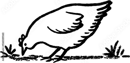 Sketch of a hen pecking at the ground with bold black lines for rustic design