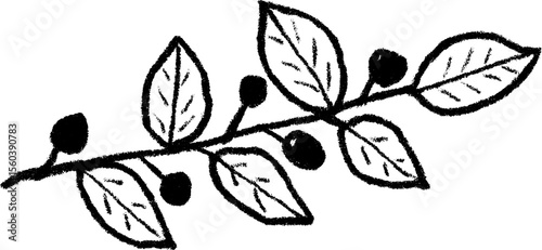Asymmetrical leafy branch sketch with natural border design
