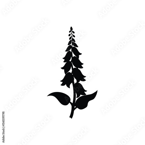 Black silhouette of a foxglove plant with bell shaped flowers and leaves