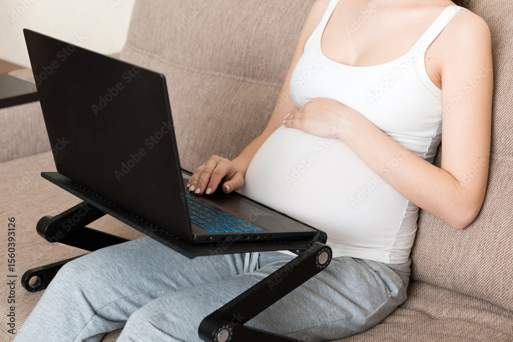 Fototapeta premium Pregnant woman using laptop in sofa at home