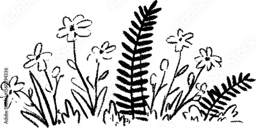 Black and white sketch of fern fronds and flowers for natural border design