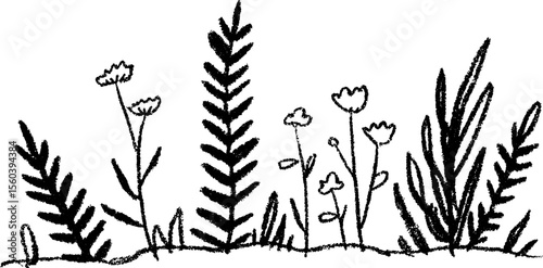 Hand drawn sketch of natural border with fern fronds and flowers for design