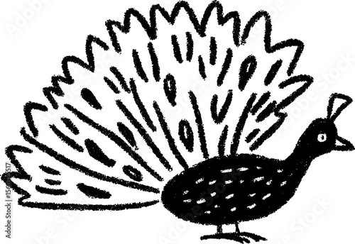 Bold hand drawn sketch of peacock with fanned tail in black for art design