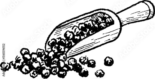 Black peppercorns with wooden scoop sketch for culinary design