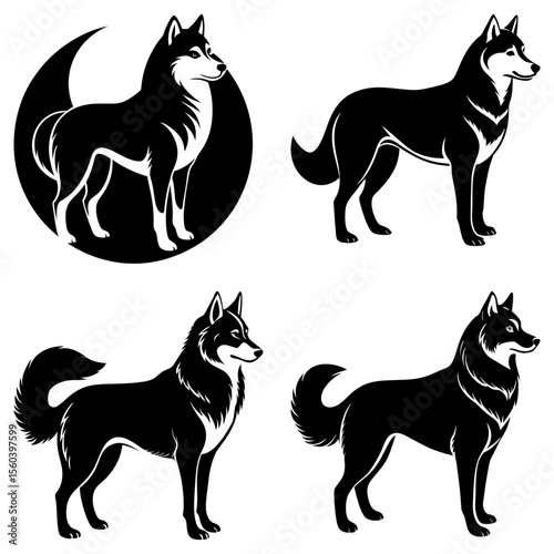 Four black and white husky dogs in various poses including one with a moon background illustration