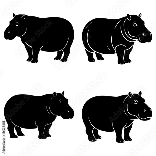 Four hippopotamuses in black silhouette standing in different poses on a white background image art