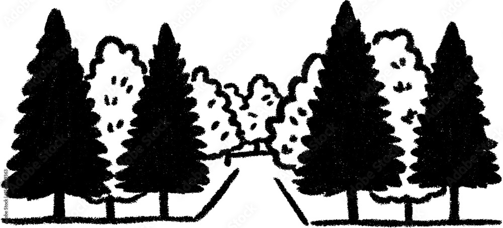 Fototapeta premium Serene avenue of tall trees creating natural shade