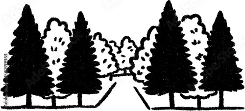 Serene avenue of tall trees creating natural shade