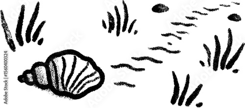 Artistic sketch of seashell path leading to water with textured lines