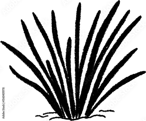 Hand drawn sketch of chives with long thin leaves in black texture for botanical design
