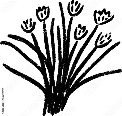 Hand drawn sketch of a small bunch of chives with long thin stems for herbal design