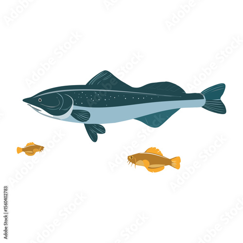 Freshwater Fish Observing Small Orange Minnows