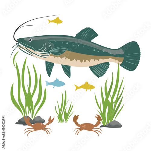 Large Fish Hunting Smaller Prey Underwater