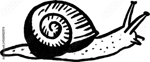 Hand drawn snail sketch with textured shell and slow crawl design for creative projects