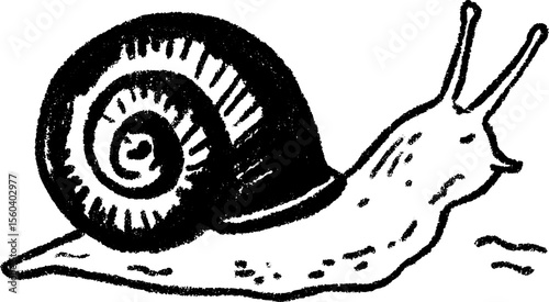 Snail sketch with visible shell - slow crawl artwork for creative design