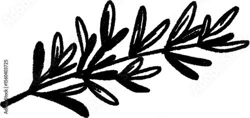 Black and white sketch of diagonal rosemary sprig for natural design