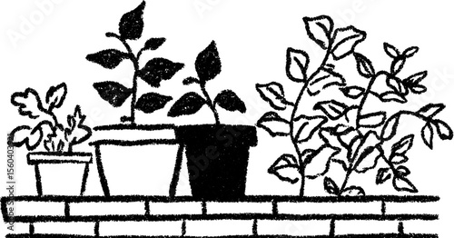 Black and white sketch of potted plants with textured leafy details for design