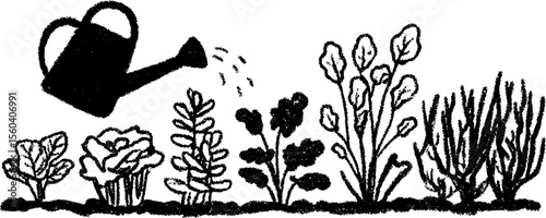 Hand-drawn vegetable garden scene with rows and watering can for botanical design