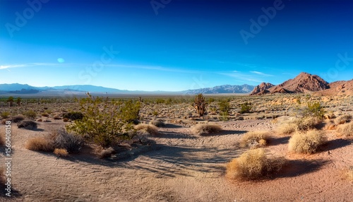 desert landscape near calico california