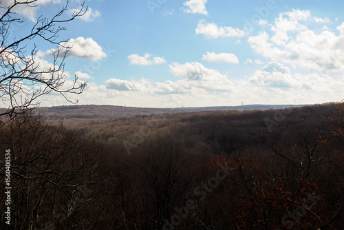 Landscape of Hills with Brown Trees in Fall