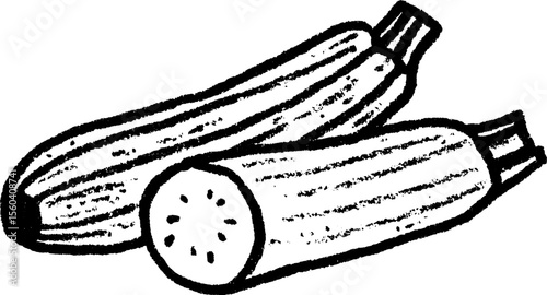 Hand drawn sketch of zucchini with sliced end showing inside texture