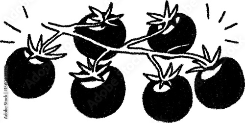 Bold sketch of several tomatoes on the vine with vibrant black details for creative design