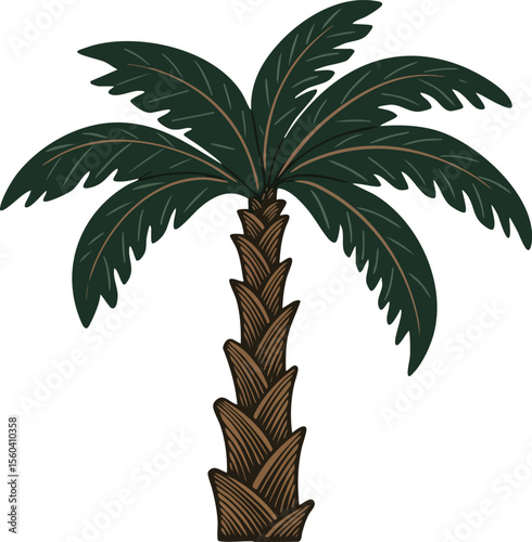 Palm tree vector illustration with detailed brown trunk and dark green leaves natural tropical plant design