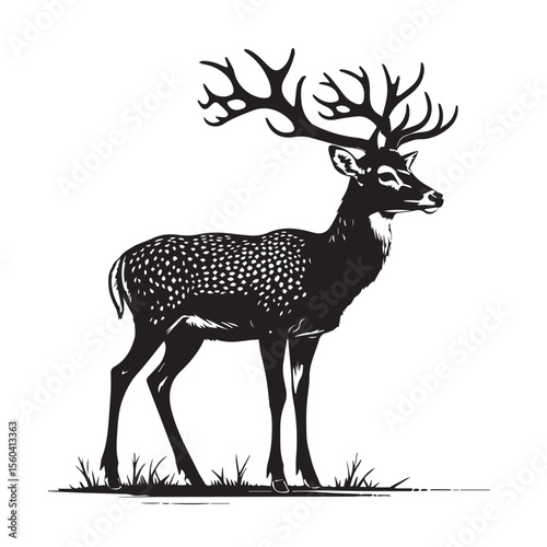 Vector art of a majestic spotted deer with large antlers standing in a grassy field, isolated on white background